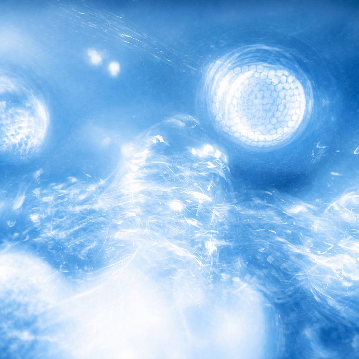 I Feel U cover: blue light in soft focus